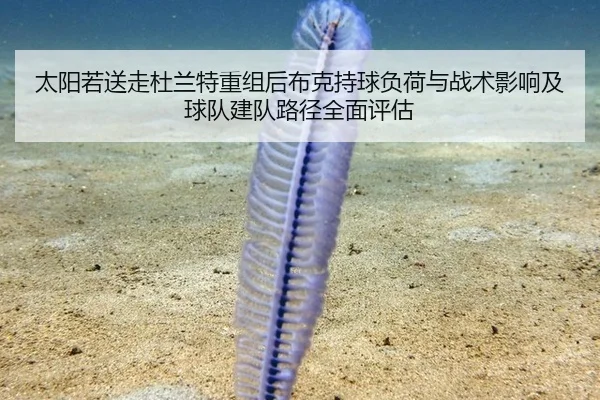 太阳若送走杜兰特重组后布克持球负荷与战术影响及球队建队路径全面评估