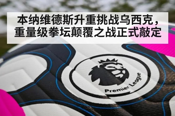 本纳维德斯升重挑战乌西克,重量级拳坛颠覆之战正式敲定