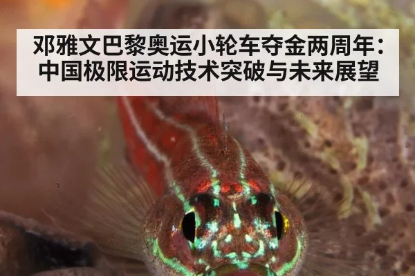 邓雅文巴黎奥运小轮车夺金两周年:中国极限运动技术突破与未来展望